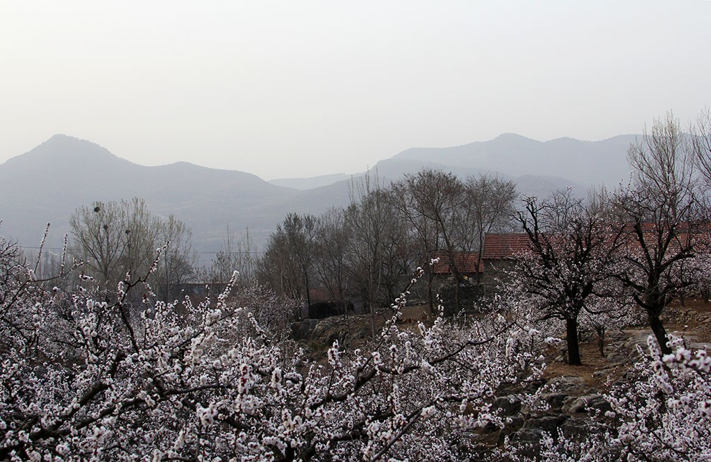 IMG_0193副本.jpg