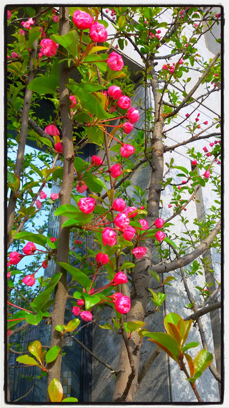 MA201503302121370051-05-000000006_副本.jpg
