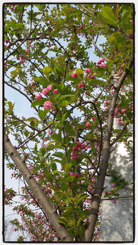 MA201503302122280047-05-000000006_副本.jpg