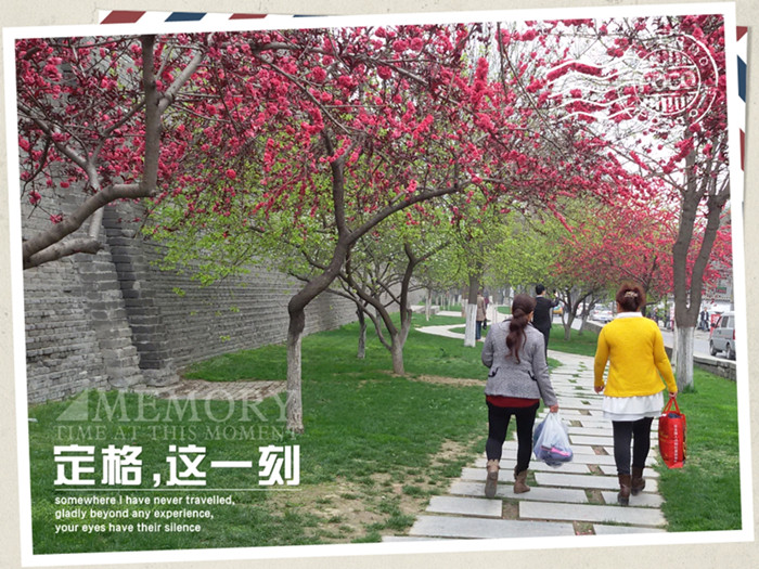 MA201503311158510019-01-000000117_副本.jpg