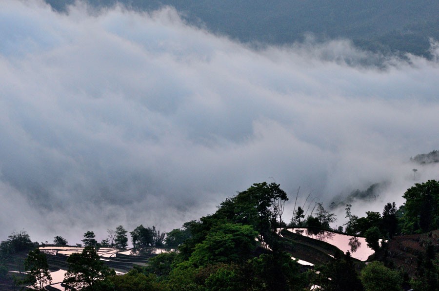 DSC_5329.jpg