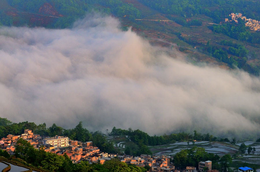 DSC_5375.jpg