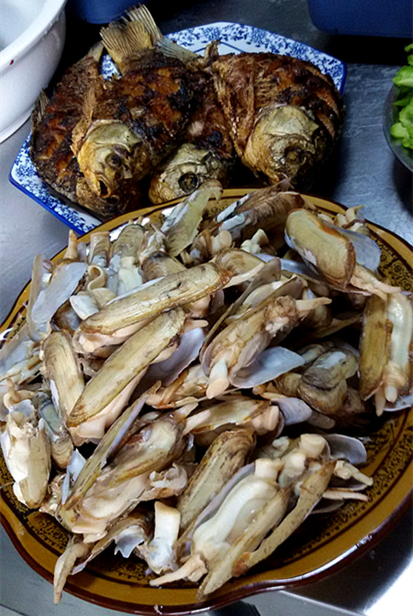20150406_115028_副本.jpg