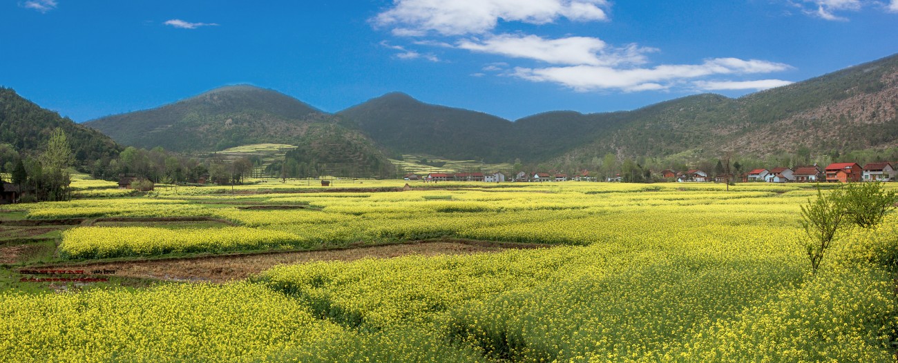 陈村_全景图1.jpg