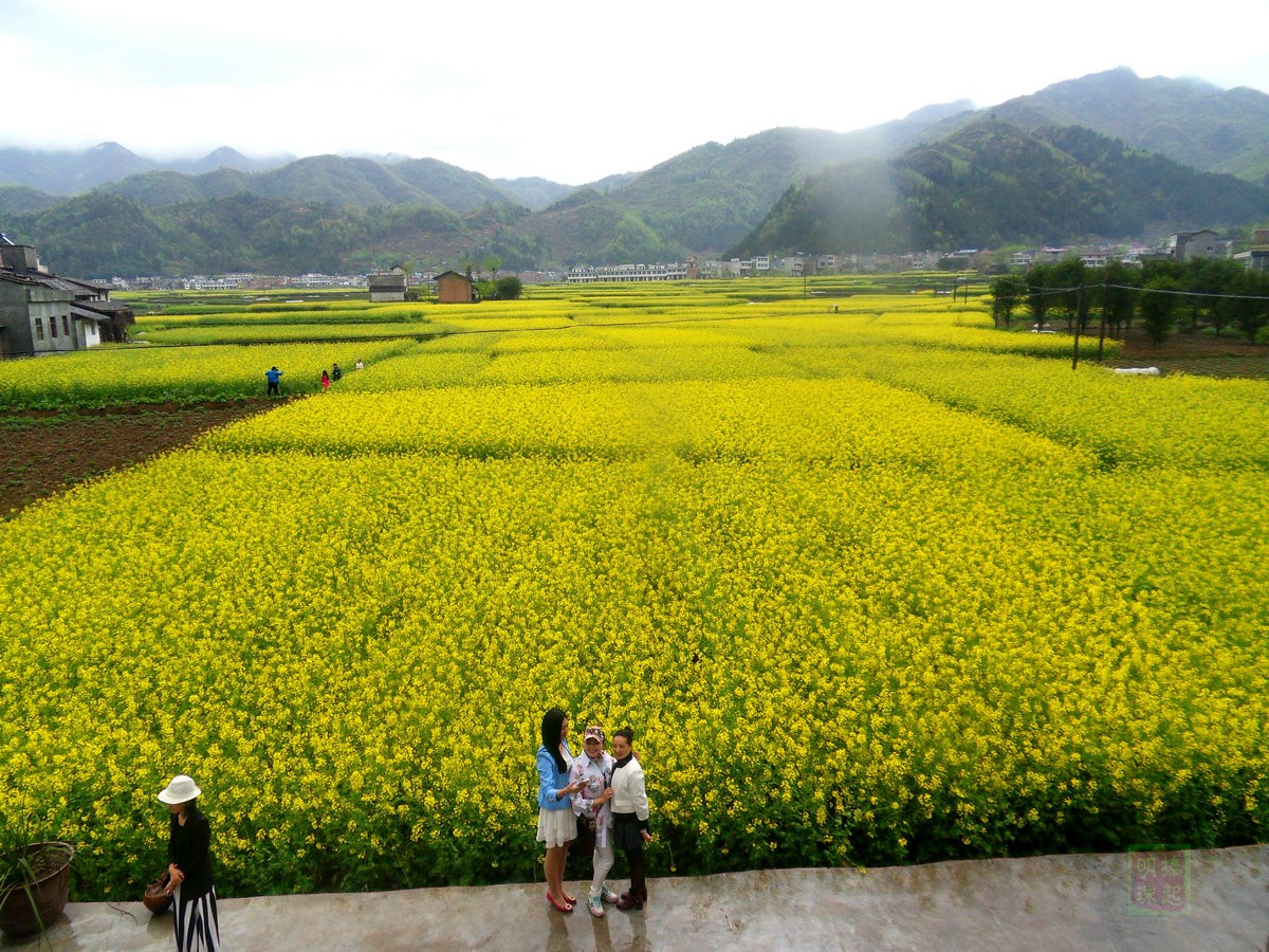 SDC14045_副本.JPG