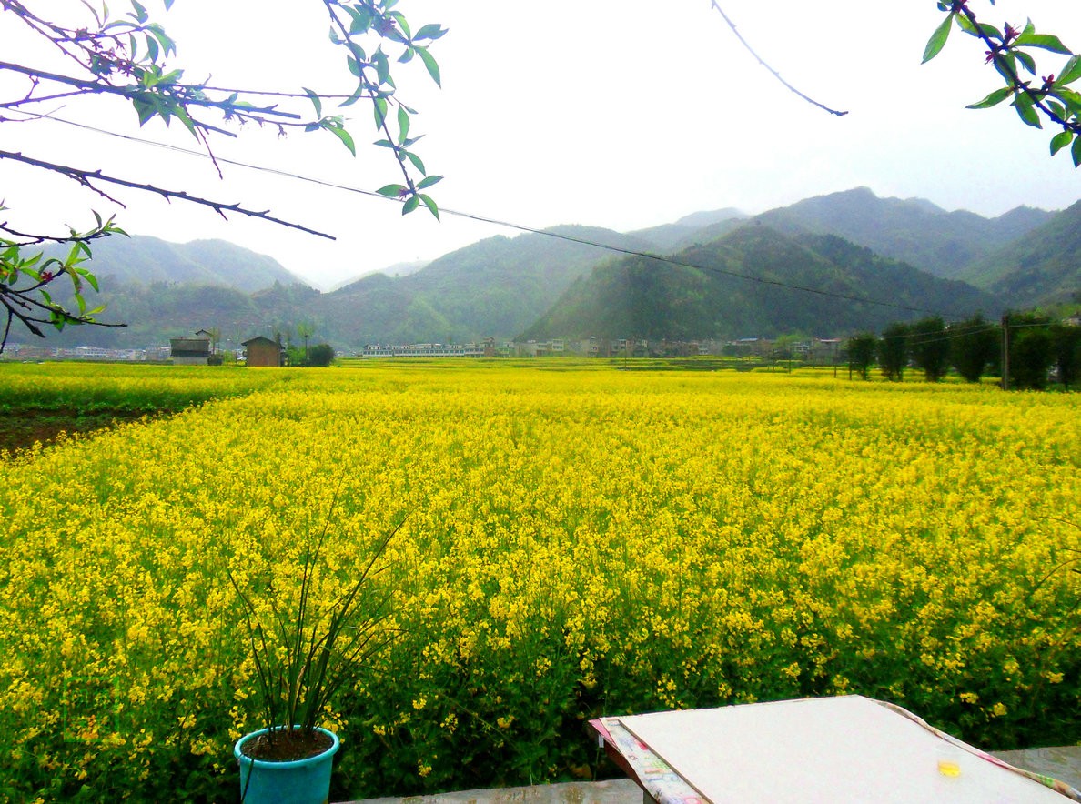 SDC14085_副本.JPG