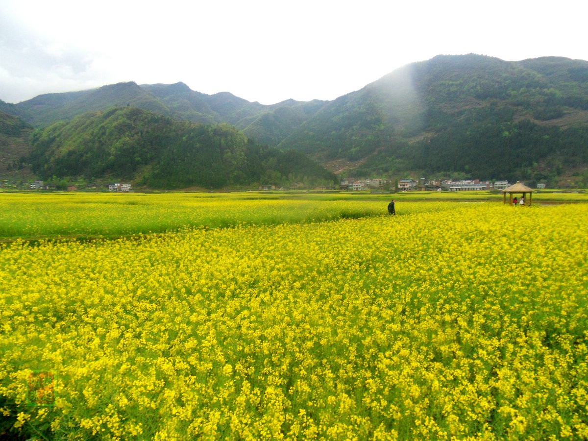 SDC14157_副本.JPG