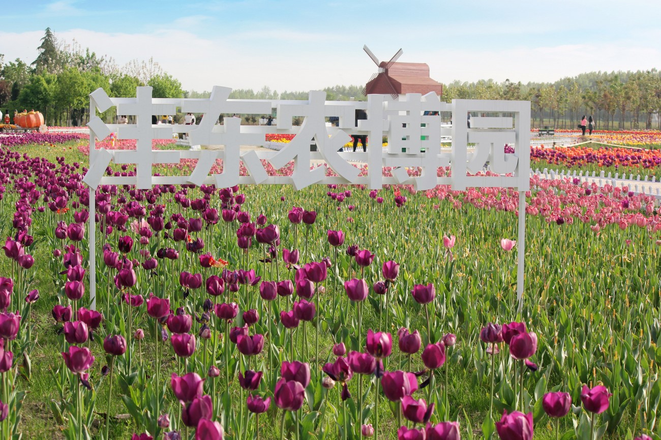 img_5457_副本.jpg