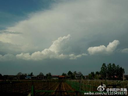 41c5742ajw1erdcrygfuxj20np0hs0to.jpg