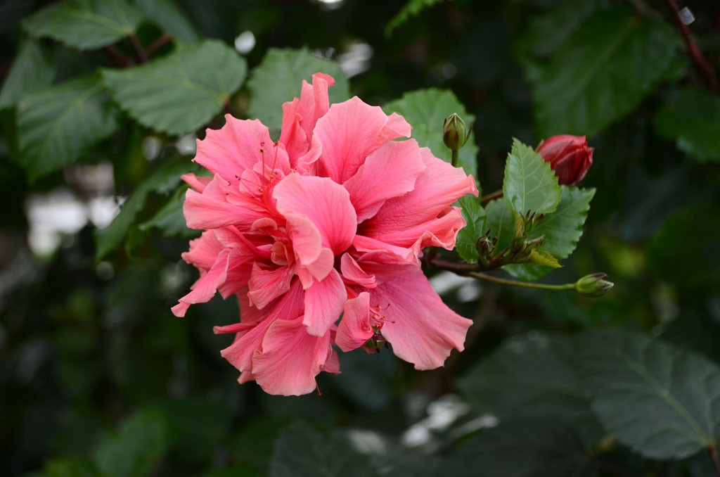 DSC_9322副本.jpg