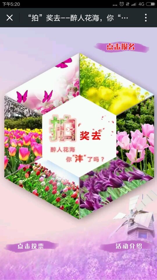 QQ图片20150403123617.jpg