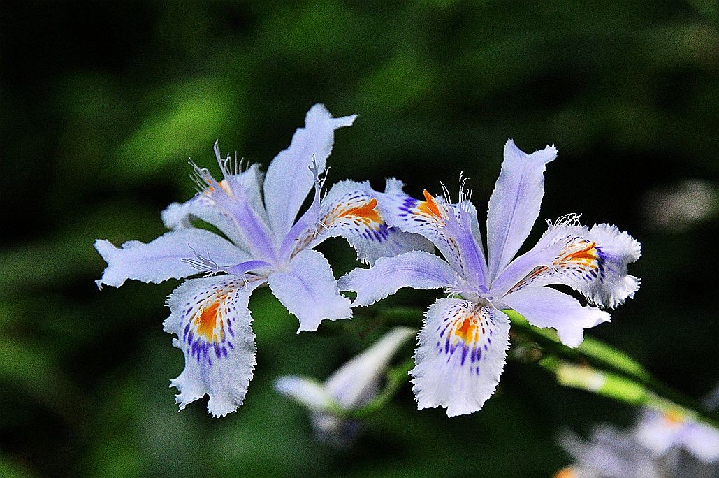 DSC_0328.jpg