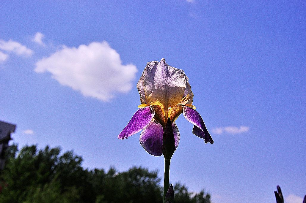 DSC_0303.jpg