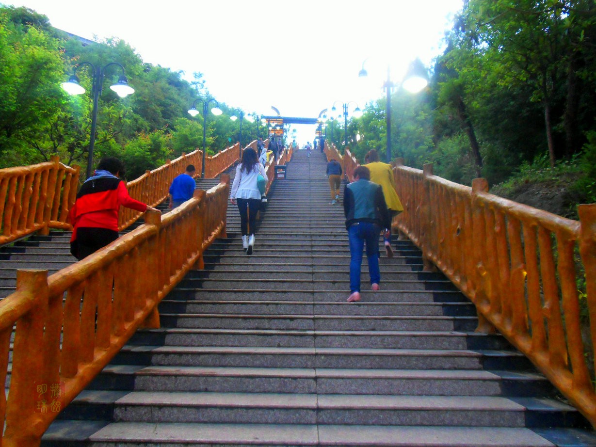 SDC15408.JPG