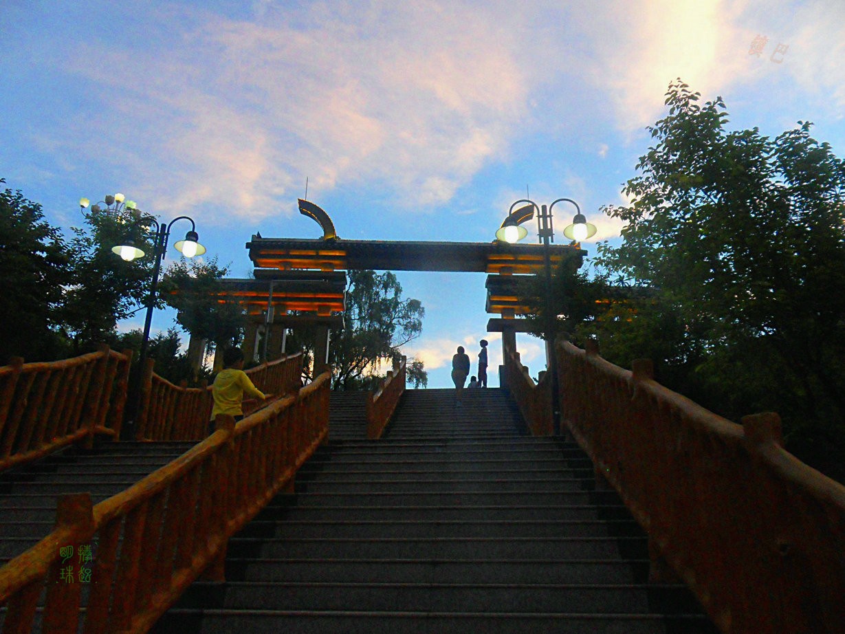 SDC15409_副本_副本.JPG
