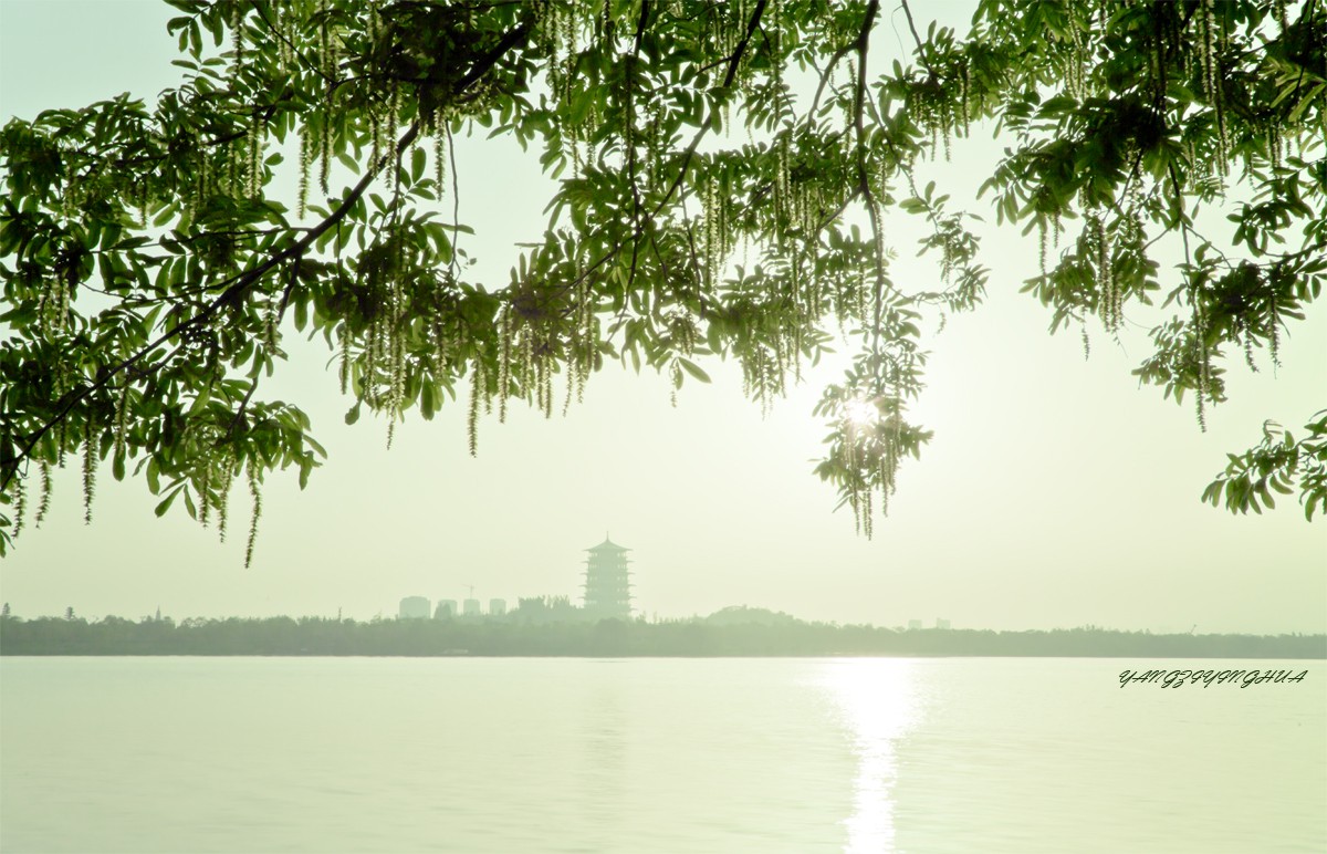 _MG_3798.jpg