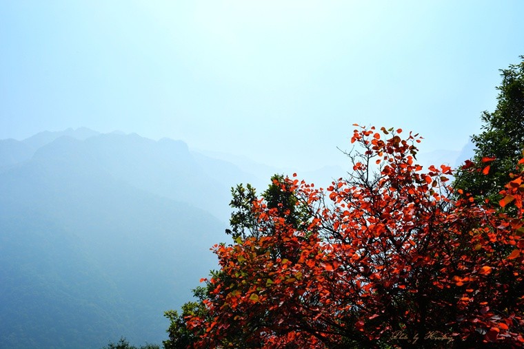 DSC_0076.jpg