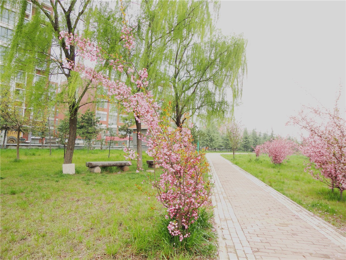 DSC00564_副本1.jpg