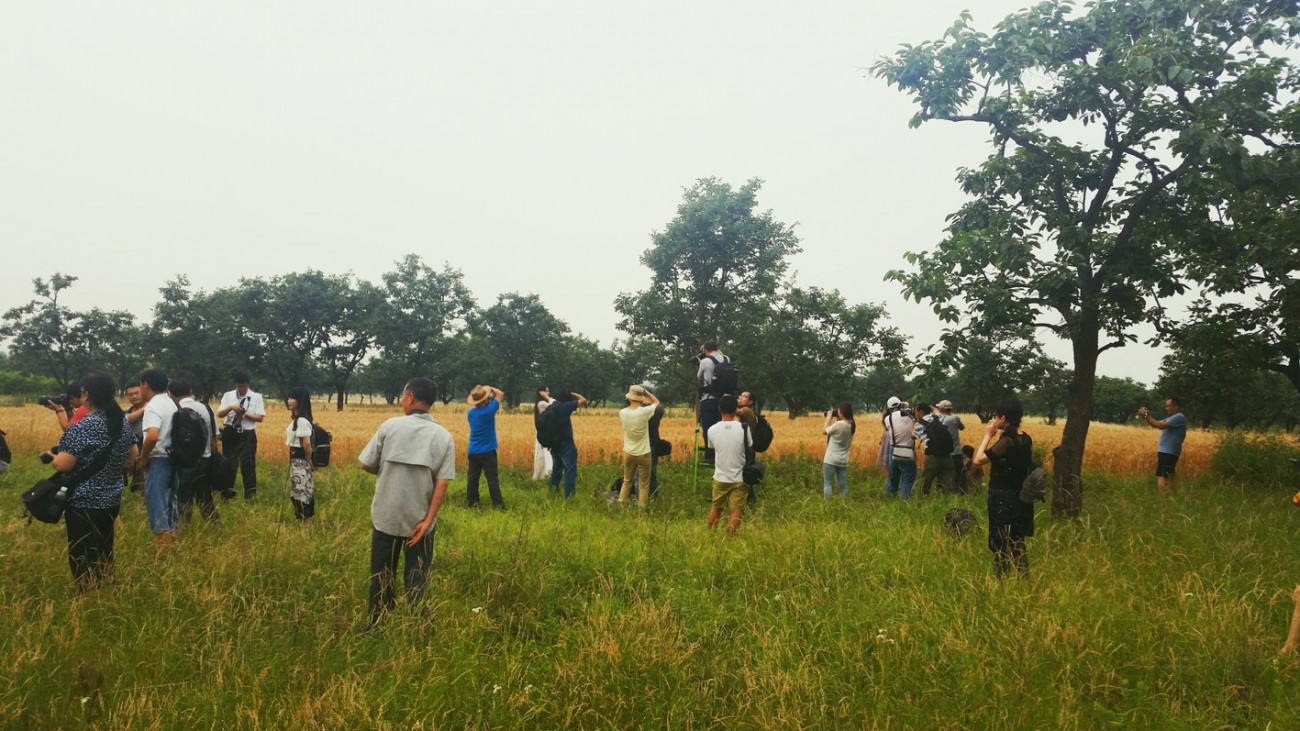 20150531_161506-02.jpg