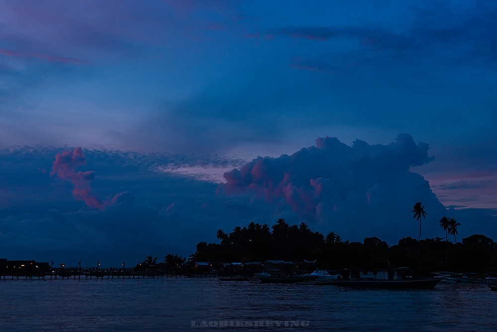 DSC_2470.jpg
