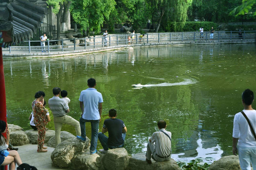 莲湖公园 (11).jpg