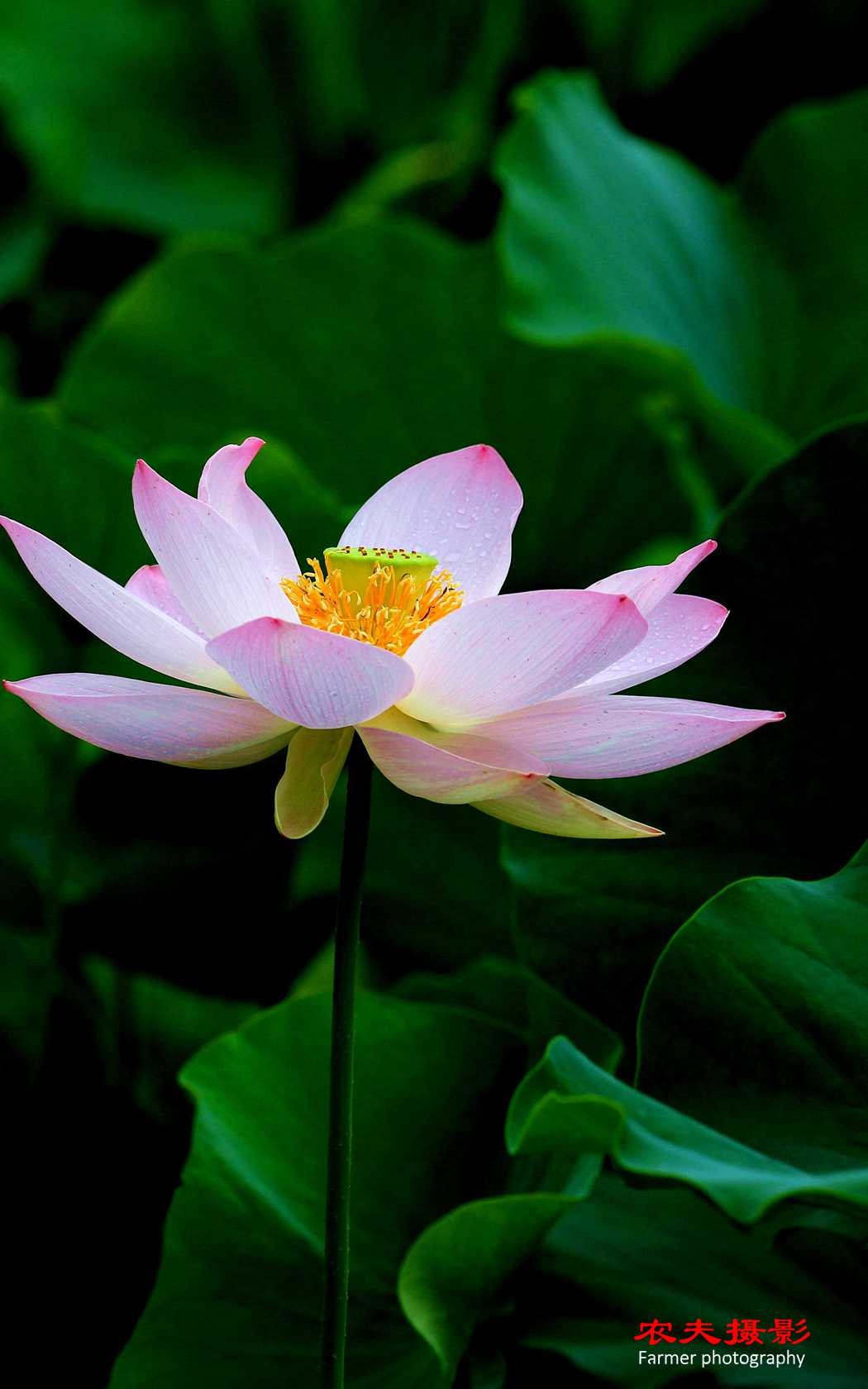 5D3A3038_副本_副本_副本.jpg