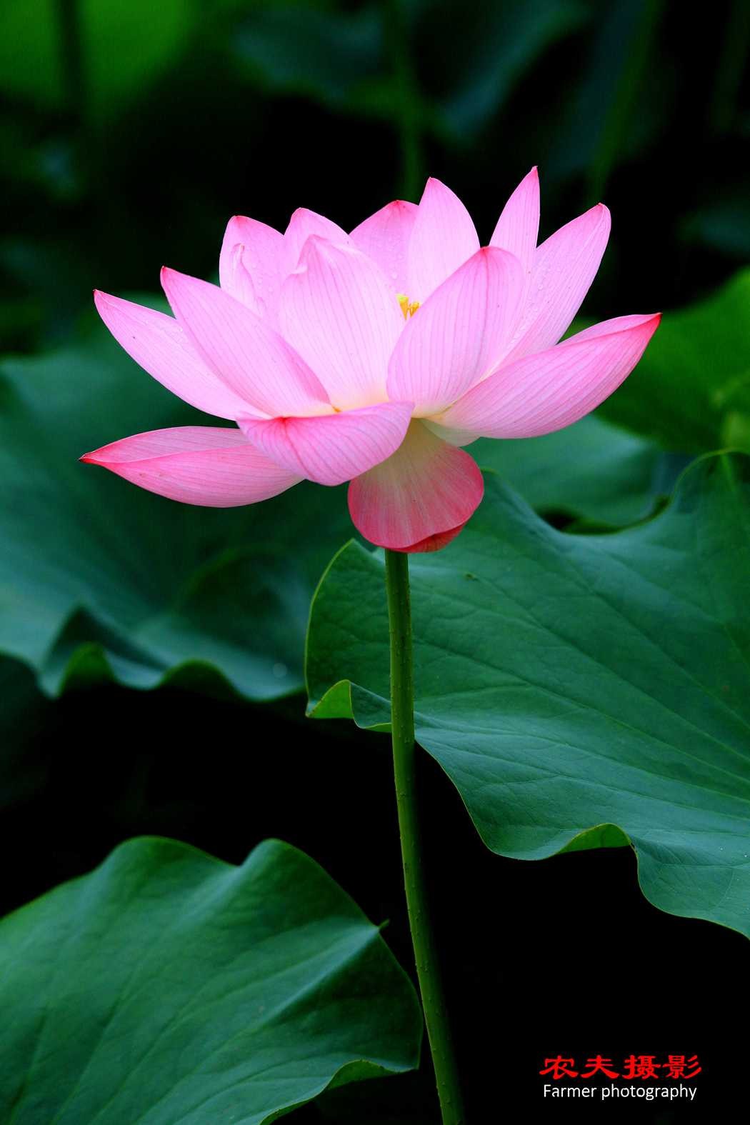 5D3A3071_副本_副本_副本.jpg