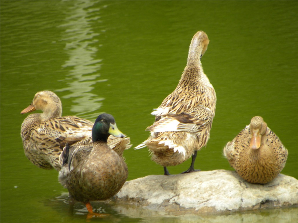 DSCN8940.JPG