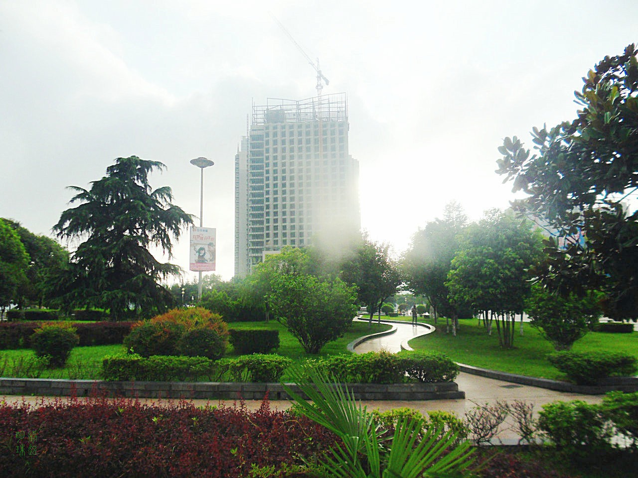 SDC10643.JPG