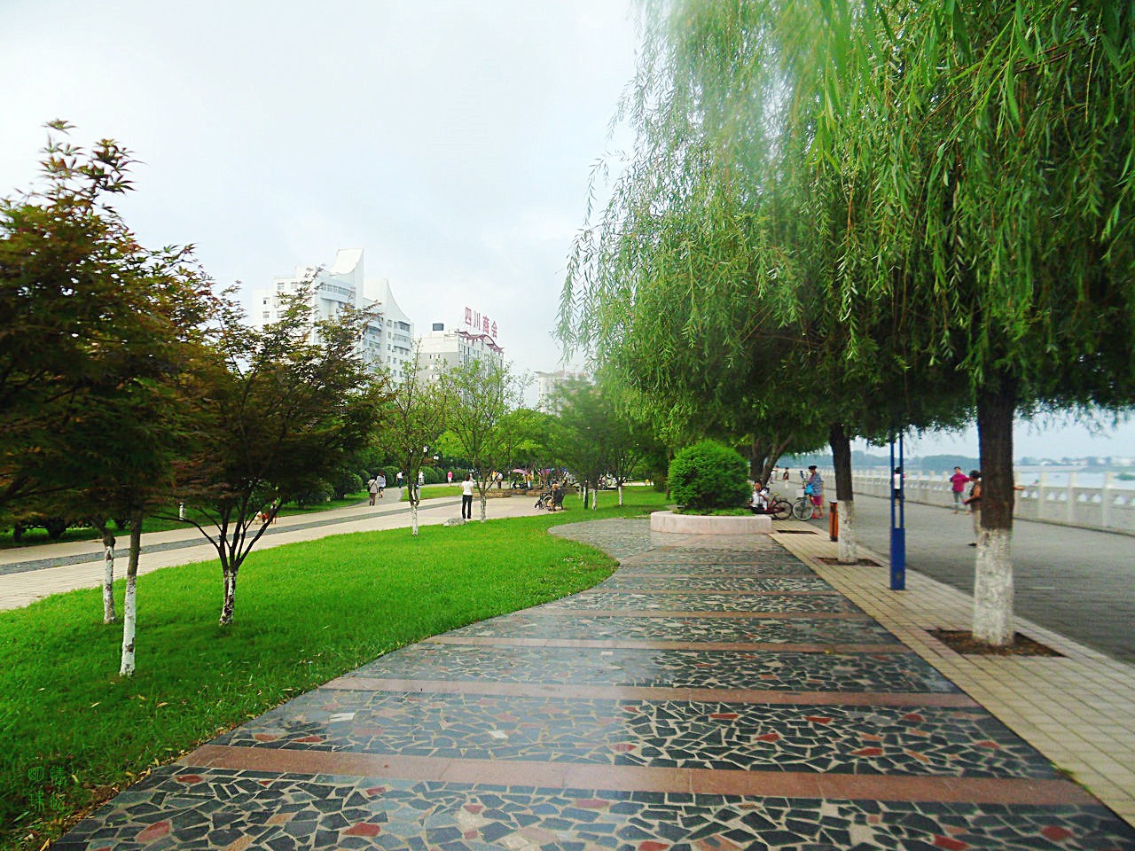 SDC10648.JPG