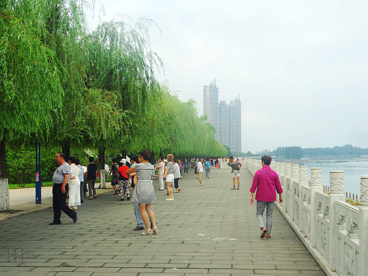 SDC10654.JPG