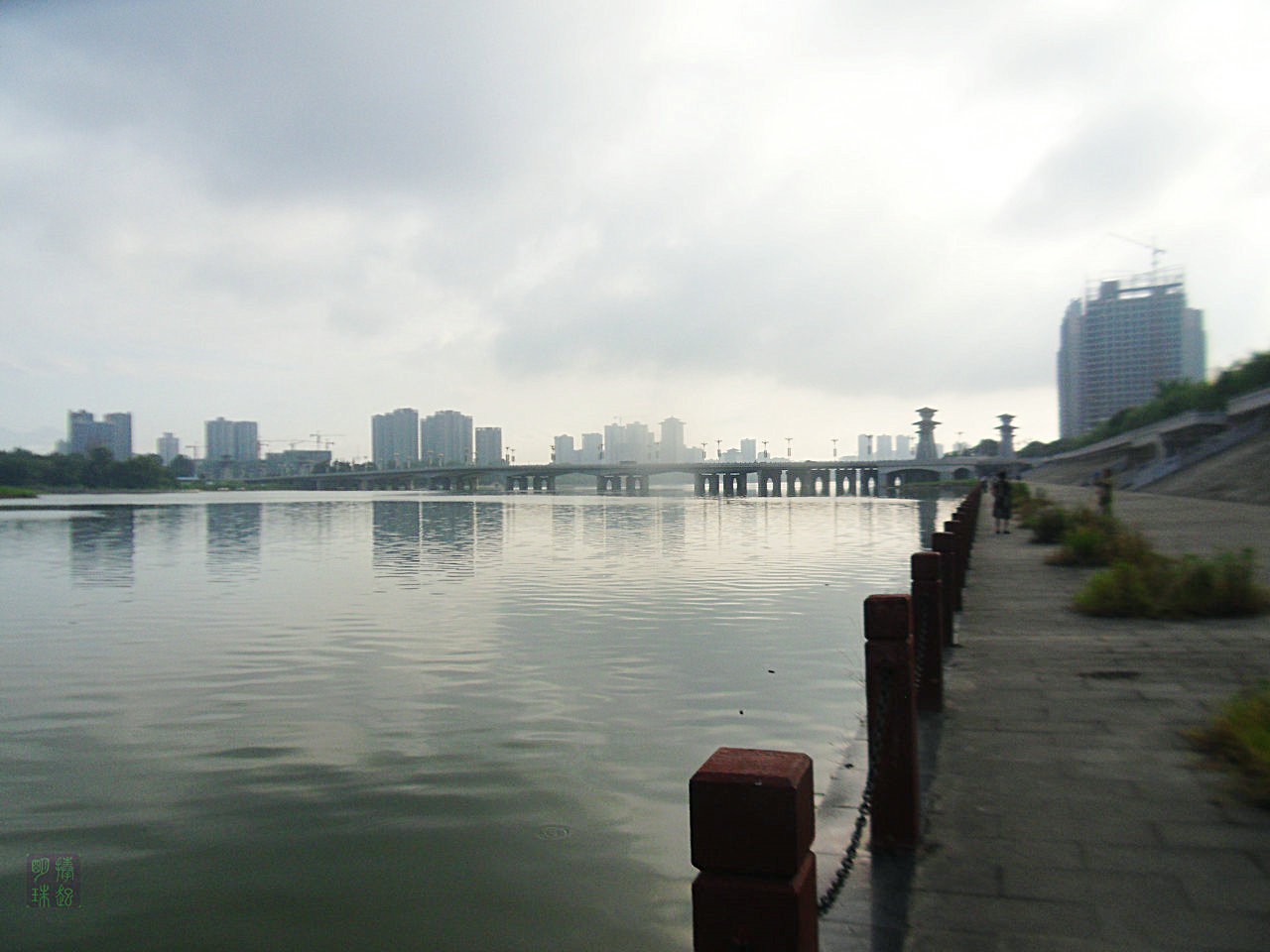 SDC10670.JPG