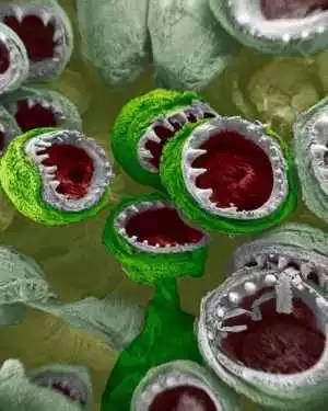 4d0dfd01c499ca2ebb29f1635d6a2e0e.jpg