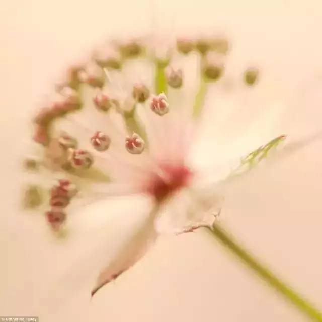 db3e92e58a0a7bc04b190b5d133b3337.jpg