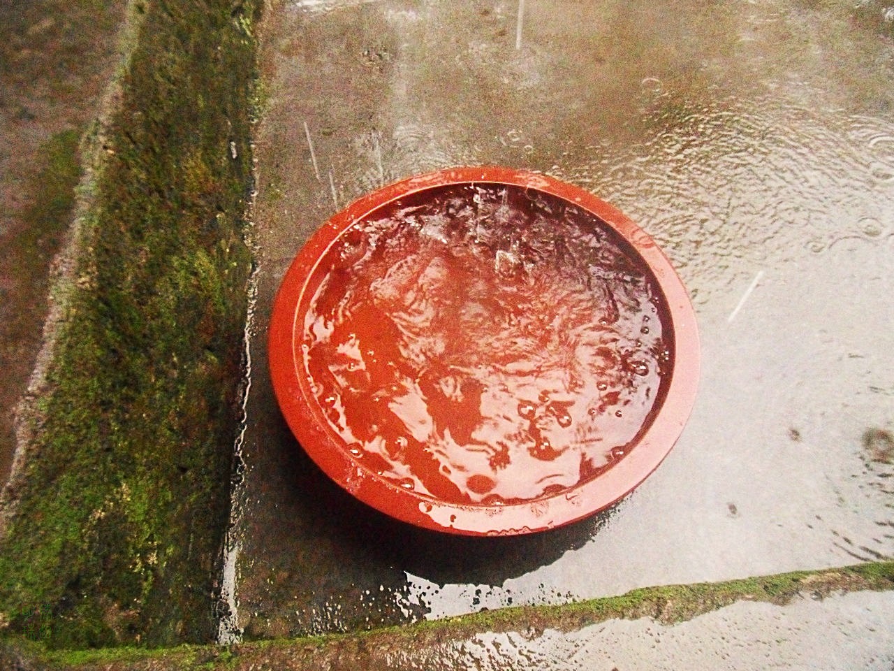 SDC12477.JPG
