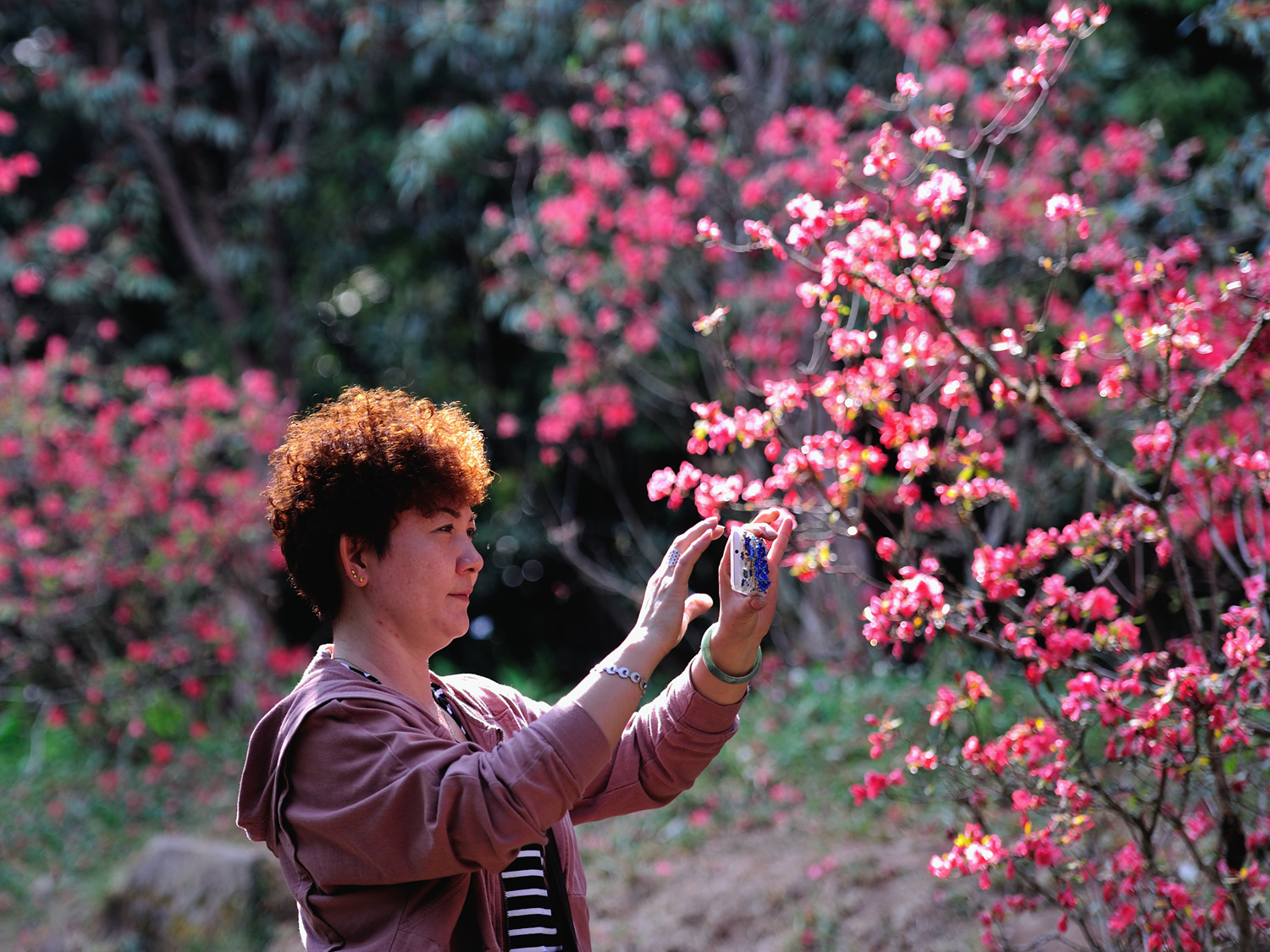 DSC_2709_副本.jpg