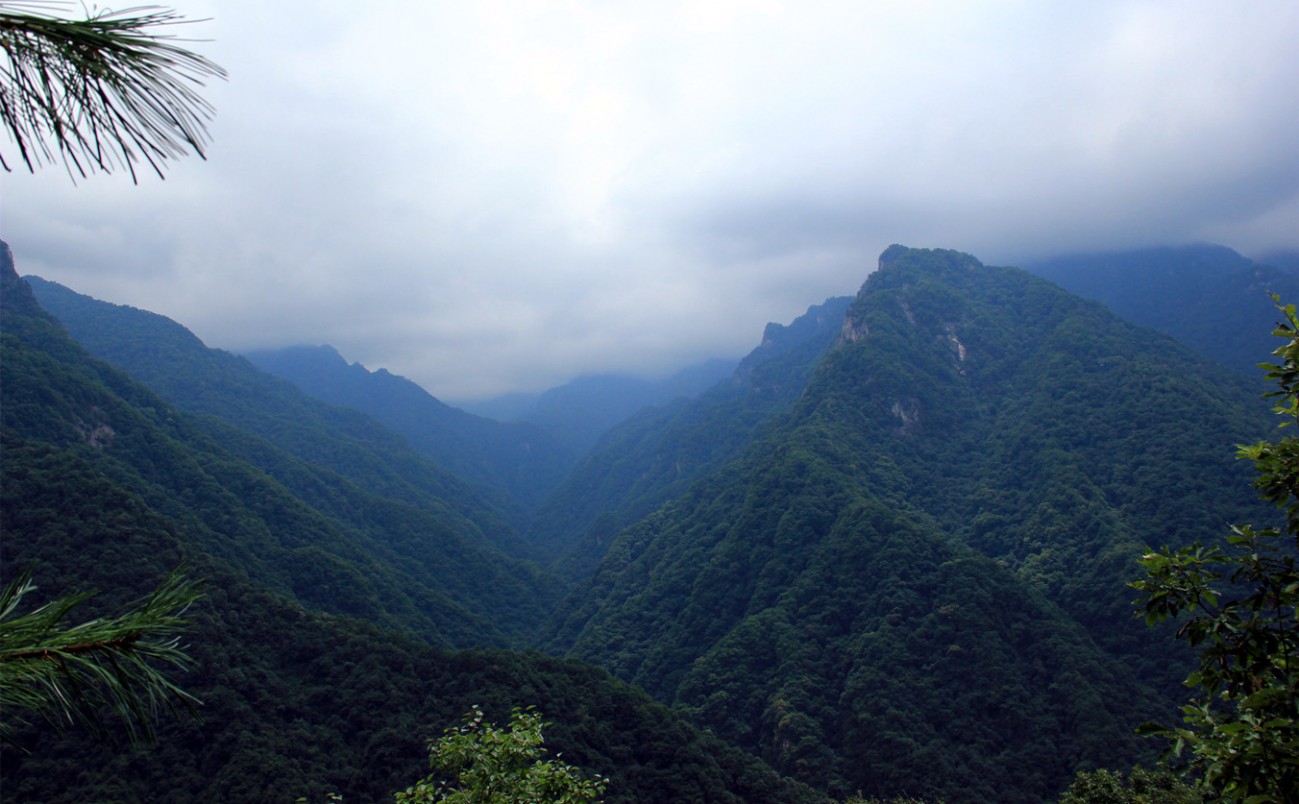 IMG_5619_副本.jpg