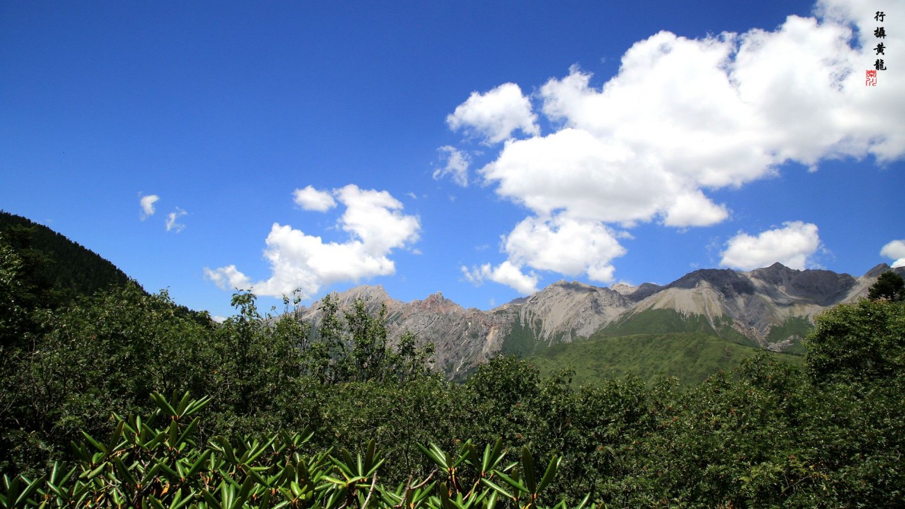 5D3A4564_副本.jpg