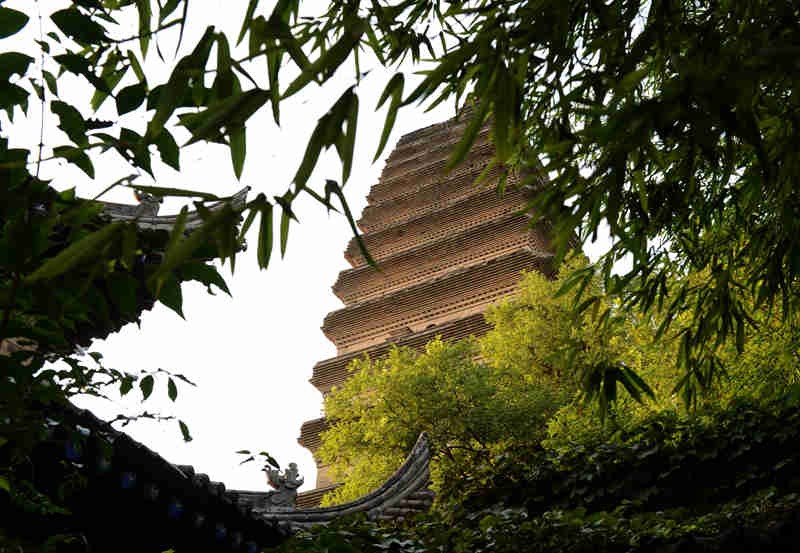 DSC_0884_副本_副本.jpg