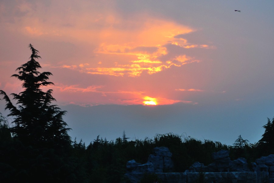 DSC_0001.jpg