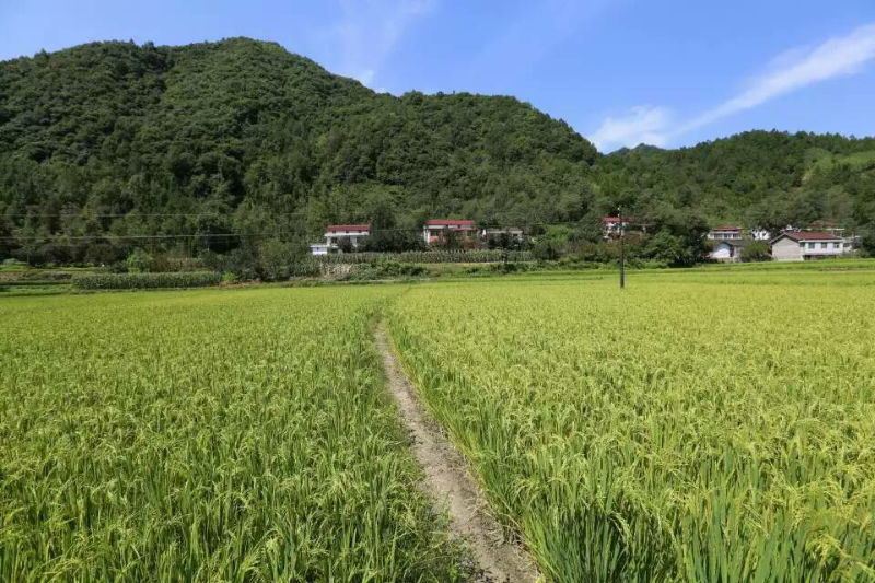 655663