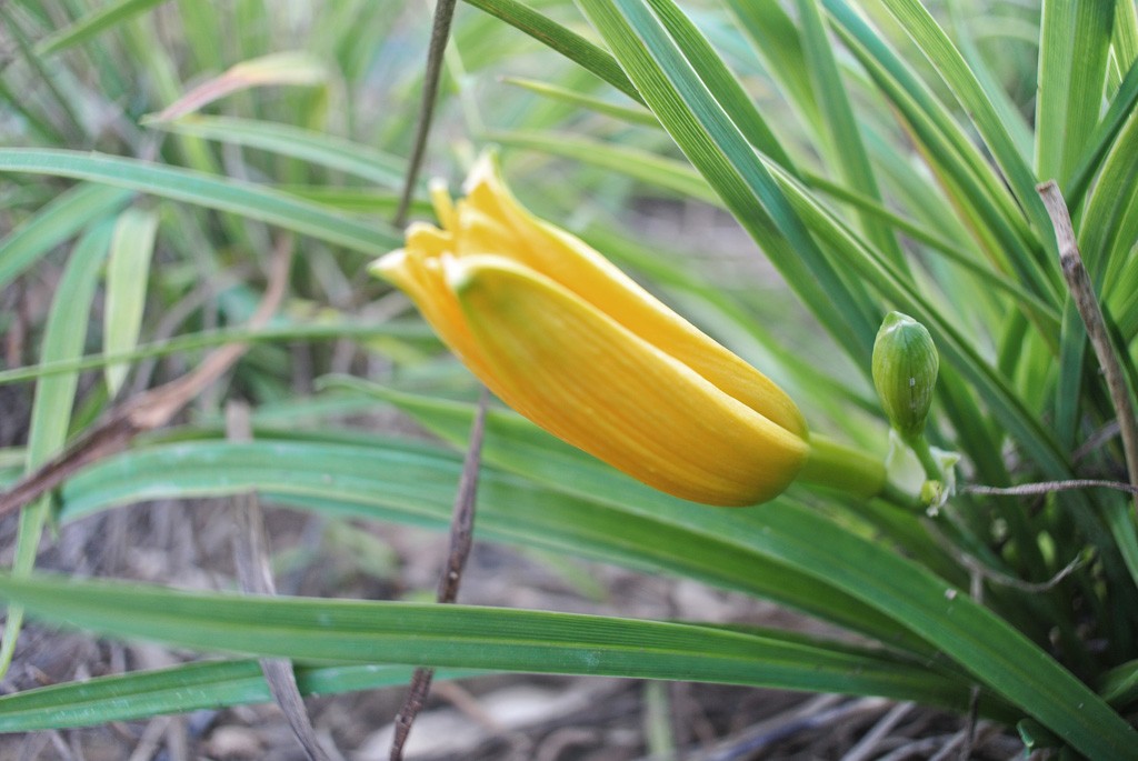 DSC_6027副本.jpg