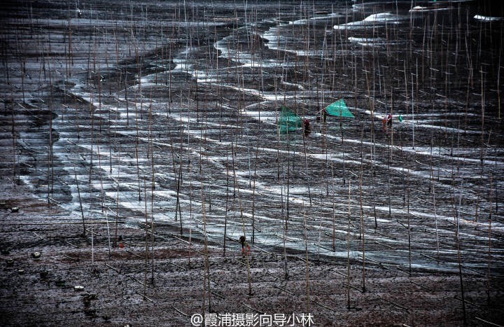 图片IMG_5425.JPG