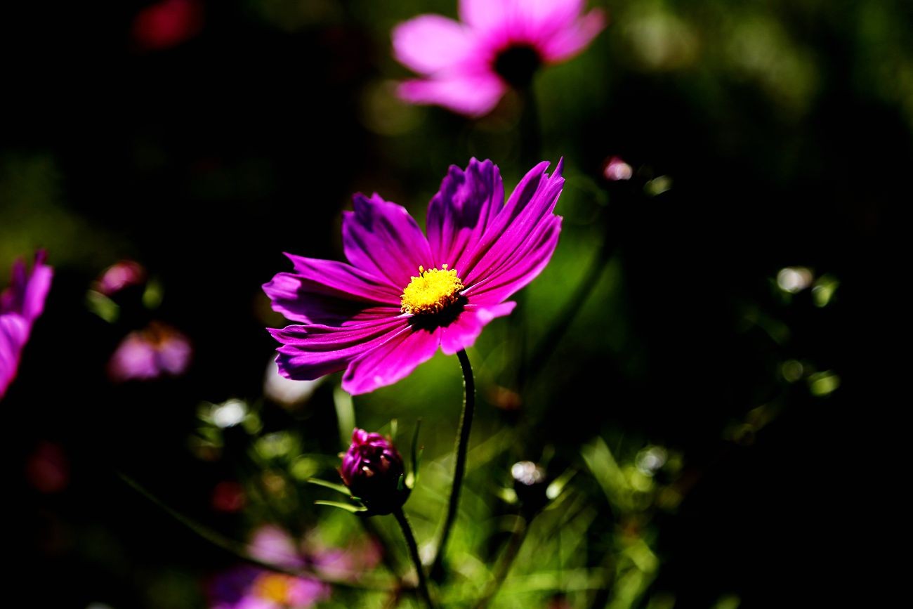 _MG_3050_副本.jpg