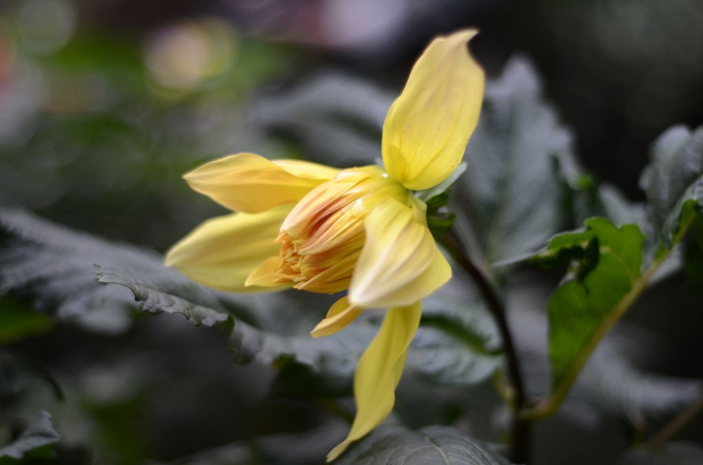 DSC_1717副本.jpg