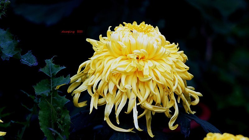 DSC00422_副本vv.JPG