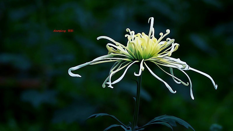 DSC00455_副本_副本vv.JPG