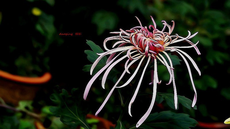 DSC00402_副本v.JPG