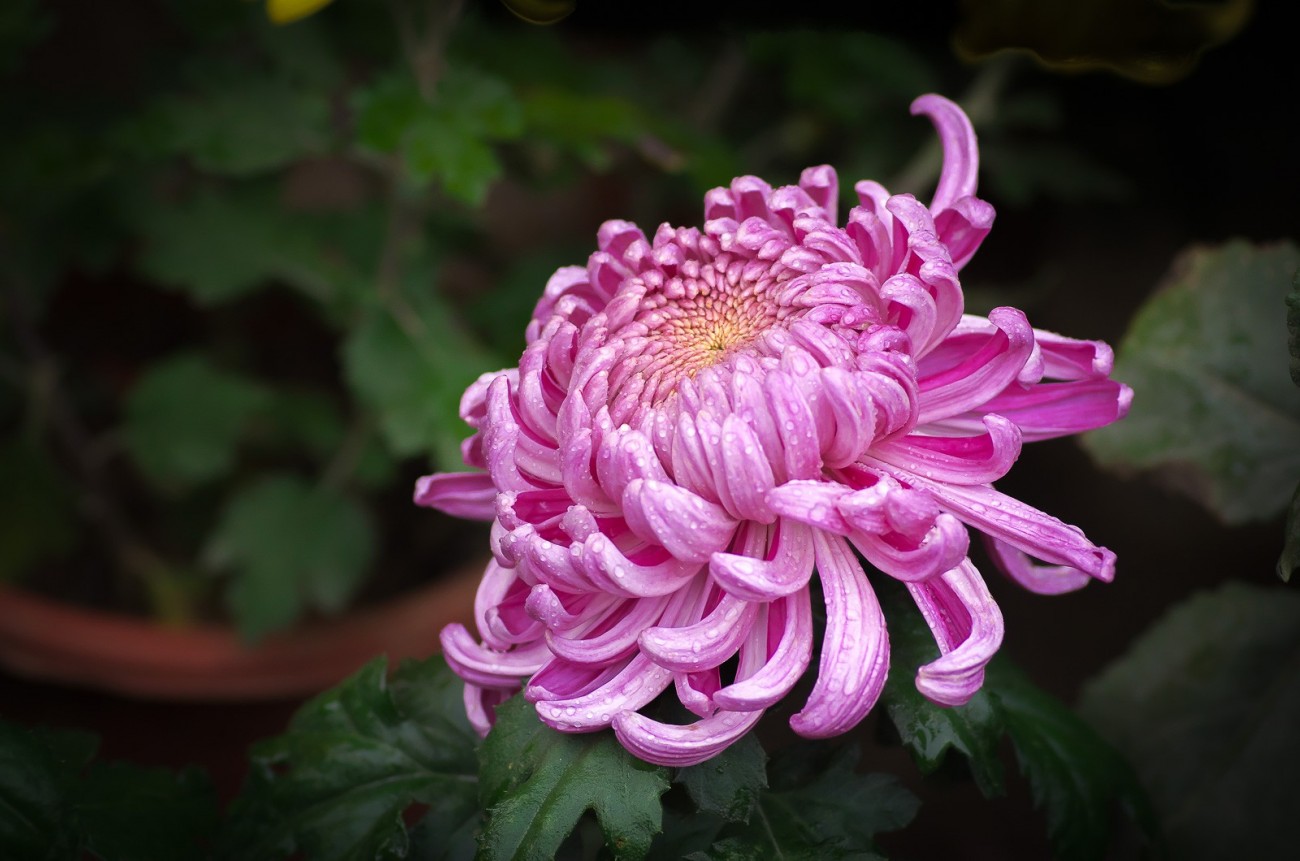 20151028-YBSP8488.jpg