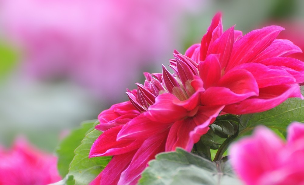DSC_3086.jpg